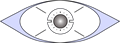 hexperceptio