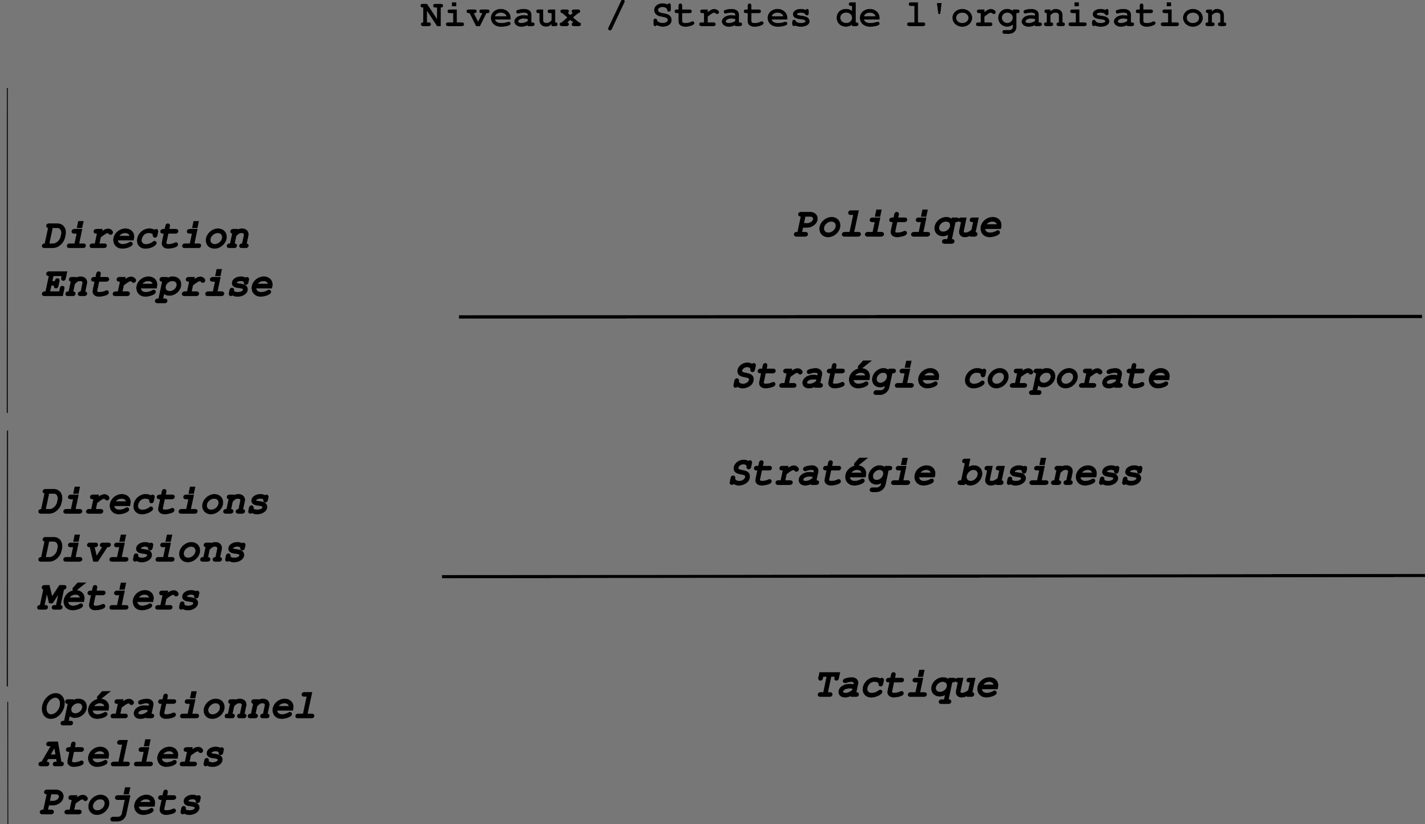 Les niveaux politiques, stratégique, tactique et opérationnel des organisation